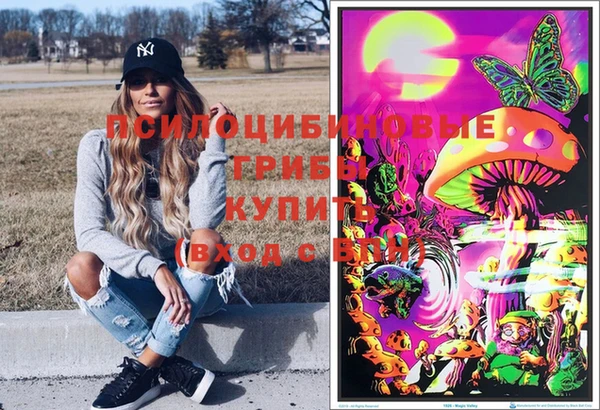 молекула духа Арсеньев